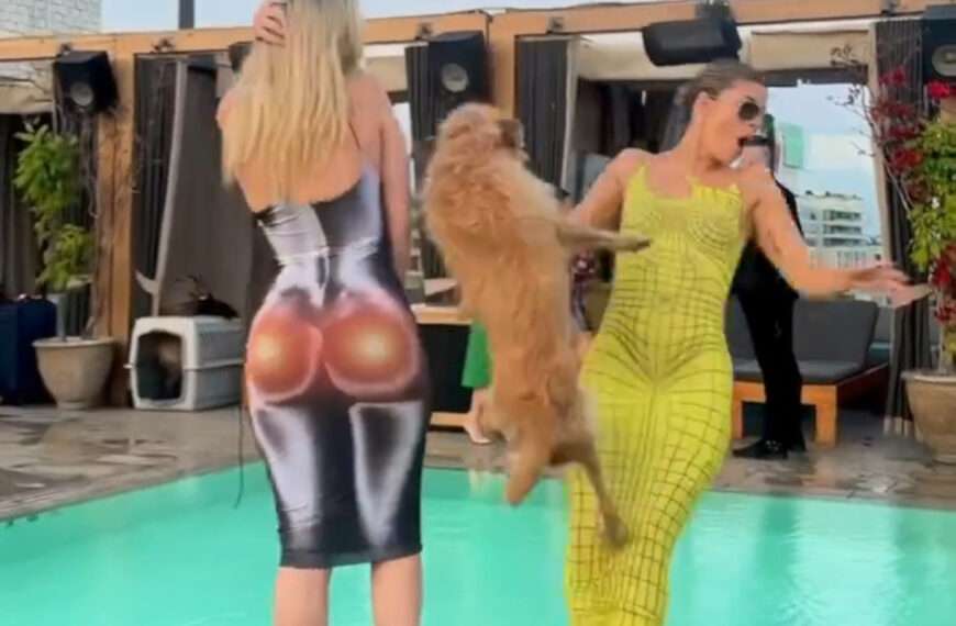 Huge Impact For Video Where Leaping Dog Knocks Dancing Influencer Into Pool