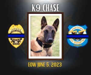Second K-9 Police Dog Dies After Being Locked In Car When Air-Conditioning Fails