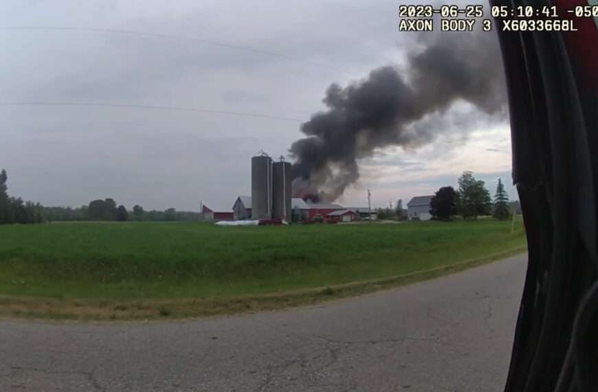 Brave Cop Rescues Three Cows Stuck Inside Burning Barn