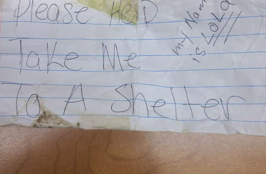 Abandoned Pup Runs To Cops With ‘Please Help’ Note In Collar