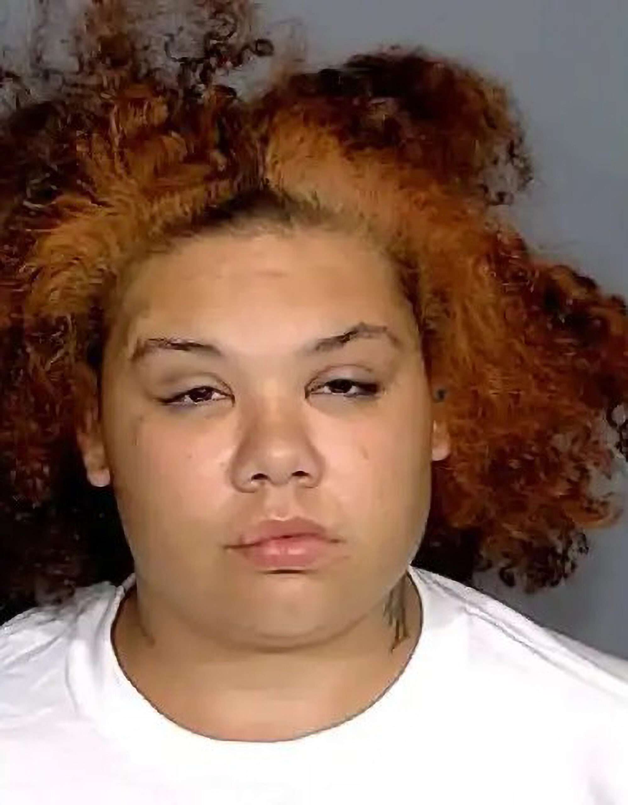Woman Who Tried To Stab Dog For Eating Chicken Sandwich Arrested After She Stabbed Baby Niece Instead